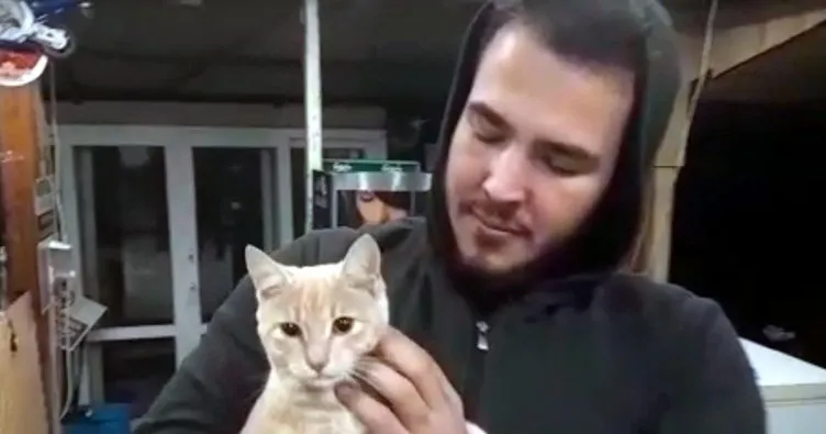 Şarköy’de kedi operasyonu