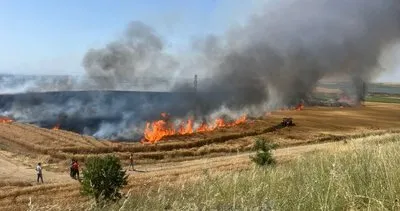 Edirne’de 110 dönüm ekili buğday yandı