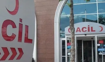 Öfkeli koç çobanı öldürdü