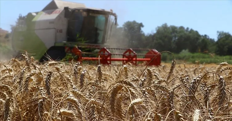 SON DAKİKA | Başkan Erdoğan buğday alım fiyatlarını açıkladı