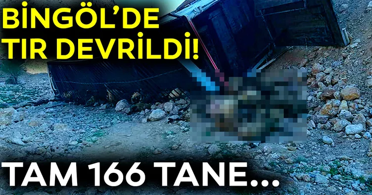 Kazada, 166 küçükbaş havyan telef oldu