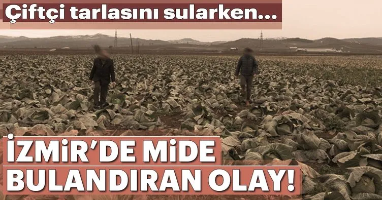 İzmir’de mide bulandıran olay! Çiftçi tarlayı sularken...