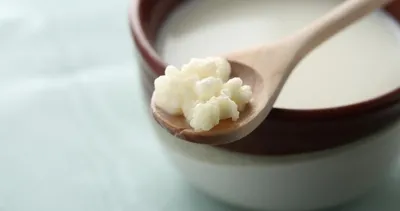 5 günde hızlıca 2 kilo kaybedeceksiniz! İşte mikrobiyota diyeti...