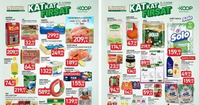 Tarım Kredi Aktüel bugün satışta! Kağıt havlu, salça, somon... 16 Haziran’a kadar geçerli!