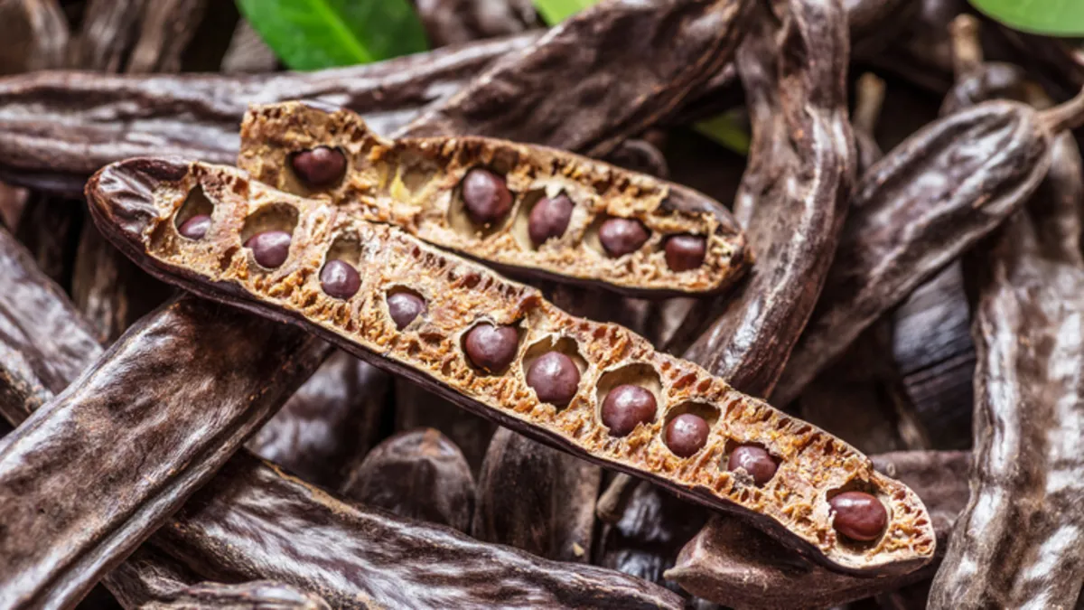 Anadolu’nun şifa deposu! Çikolataya en sağlıklı alternatif Anadolu’nun şifa deposu! Çikolataya en sağlıklı alternatif