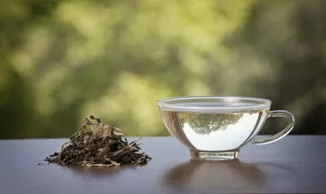 Beyaz çay nedir? Beyaz çayın faydaları nelerdir?