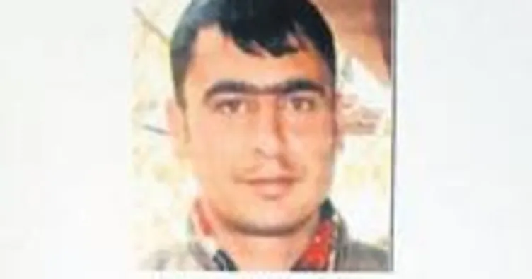 O hainlerin 4’ü de öldürüldü