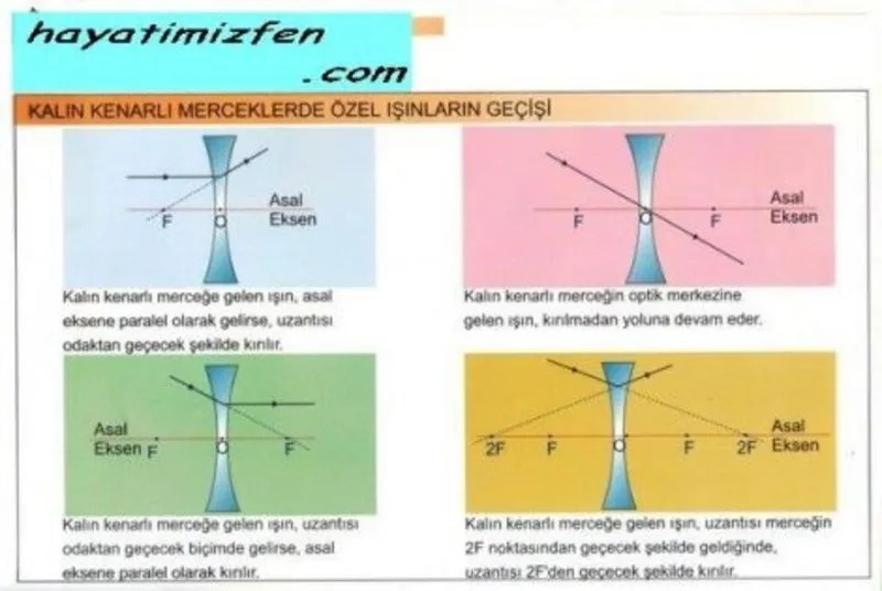 merceklerde goruntu olusumu nedir egitim haberleri