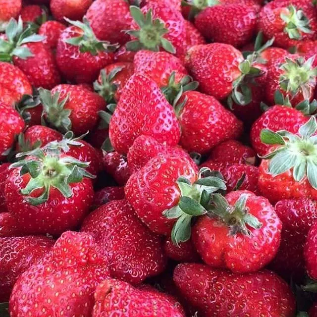 hipertansiyon hastalarında beslenme simptoms