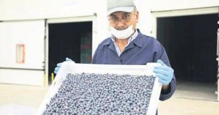 Antalya’da tarımın yenilikçi yüzü