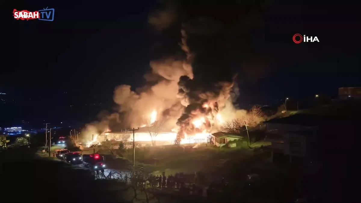 Alev alev yanan meyve deposu böyle görüntülendi videosunu izle Alev alev yanan meyve deposu böyle görüntülendi videosunu izle