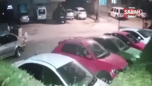 Ankara’da sokak köpeği dehşeti kamerada | Video