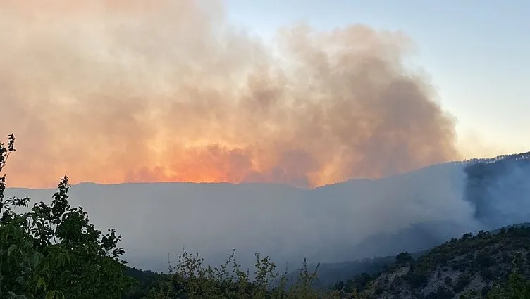 Son dakika: Alevlerle mücadele kesintisiz devam ediyor! İzmir, Aydın, Muğla, Bolu ve Manisa'daki orman yangınlarında son durum