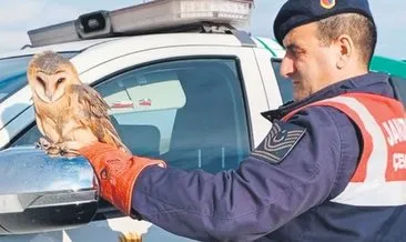 Jandarmanın ‘çevre koruma timi’ mesaide