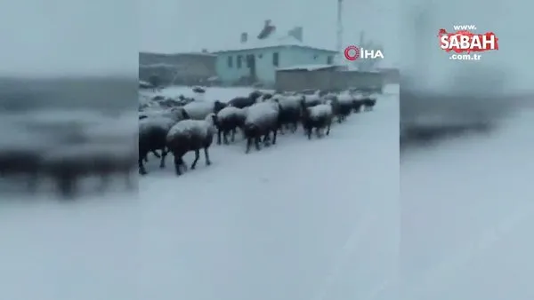 Iğdır’ın yüksek kesimlerindeki köylere kar yağdı | Video
