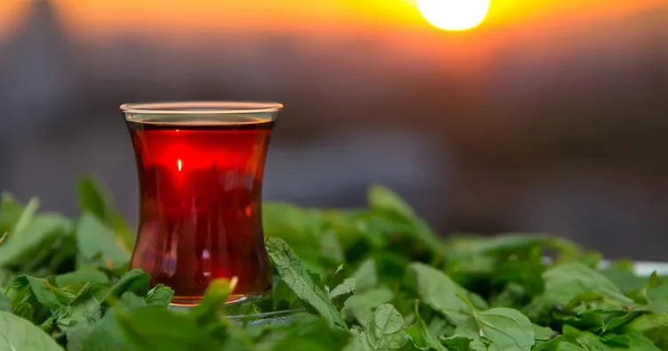 Lezzetli çayın sırrı: Mayıs ayı çayı