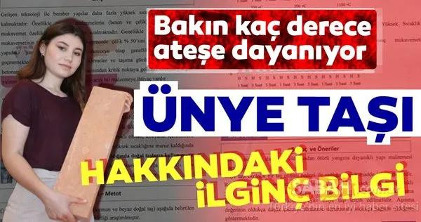 Ünyeli öğrenciden enteresan tespit: O taş 1100 dereceye kadar dayanıyor