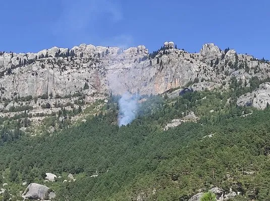 Adana Feke’de aynı yerde orman yangını çıktı