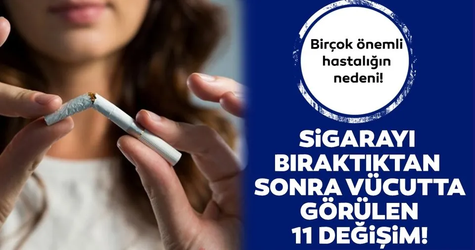 sigarayi biraktiktan sonra vucutta
