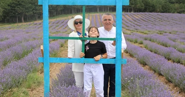 Kırklareli’nde lavanta hasadı