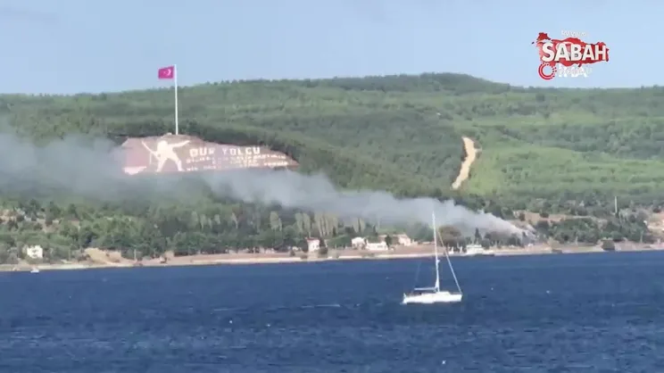 Çanakkale'de orman yangını söndürüldü