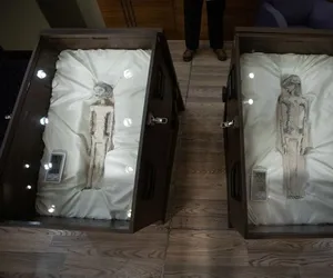 Dünyayı karıştıran sonuç! DNA alaniz raporları açıklandı: İnsan değiller!