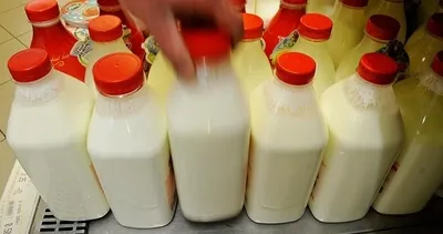 Ayran ve kefir üretimi arttı! Mart’ta kaç ton inek sütü toplandı?