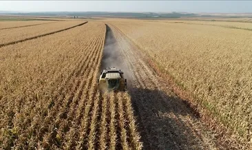 Tarım ÜFE verileri açıklandı