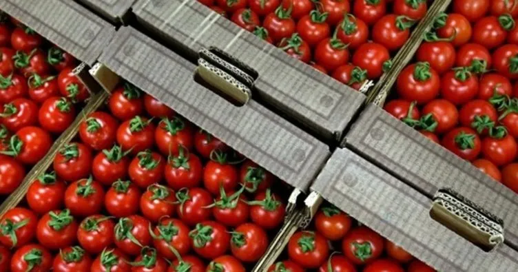 Türkiye’den 326 milyon 99 bin dolarlık domates ihracatı