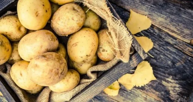Patatesin Faydalari Ve Zararlari Nelerdir Cig Ve Haslanmis Patatesin Faydalari Saglik Haberleri