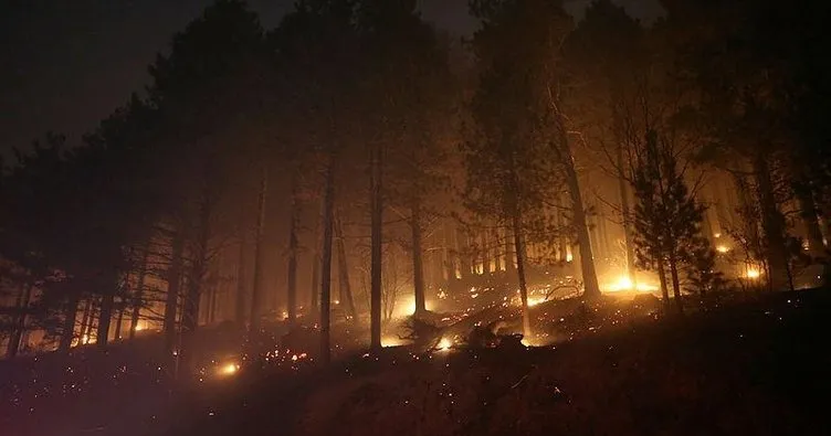 Kaz Dağları’nda yangın! Çok sayıda ekip müdahale ediyor