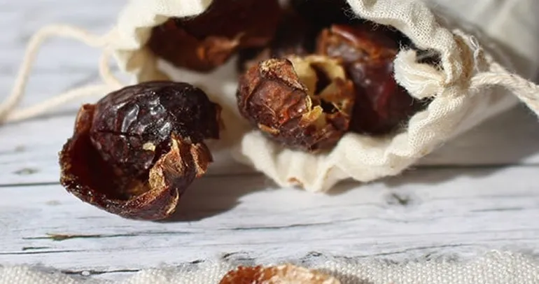 Görünüşüne aldanmayın: Bu meyve yenmiyor