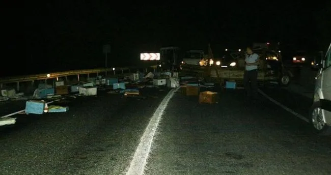 Marmaris’te arı kamyoneti kaza yaptı