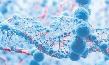 Sabit DNA’da kanser riski