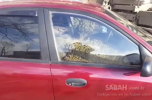 Aldatılmanın cezası ağır oldu!