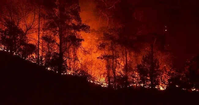 Sürmene’deki orman yangını kontrol altına alındı