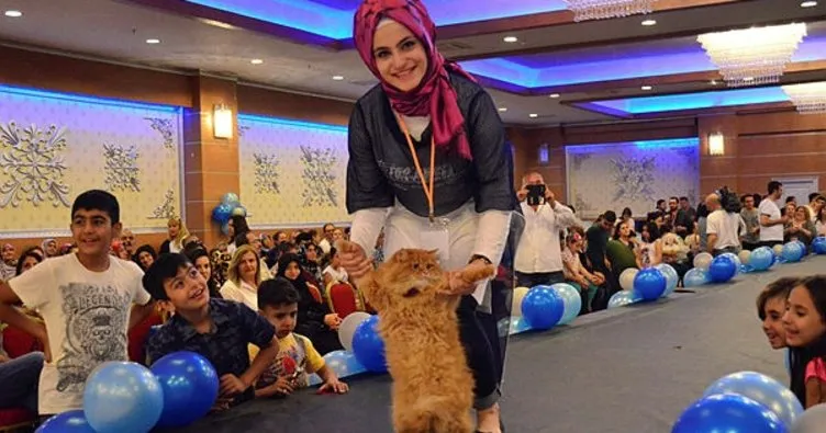 2. Uluslararası Pursaklar Kedi Güzellik Festivali başlıyor