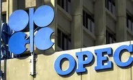 OPEC’in günlük ham petrol üretimi azaldı