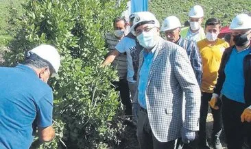 Antalya’da hasat bereketi