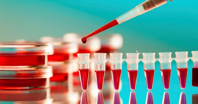 gebelik kan testinde belli olur mu