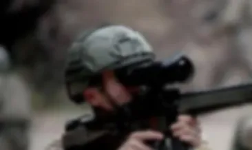 Gri listedeki terörist öldürüldü