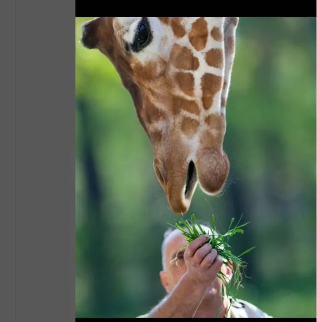 Sevgiden öte hayat bağı: