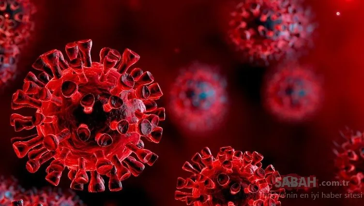 Son Dakika: Yeni koronavirüs mutasyonu Yüzde 70’e kadar daha fazla bulaşabilir! O ülkede tedbirleri değiştirdiler...