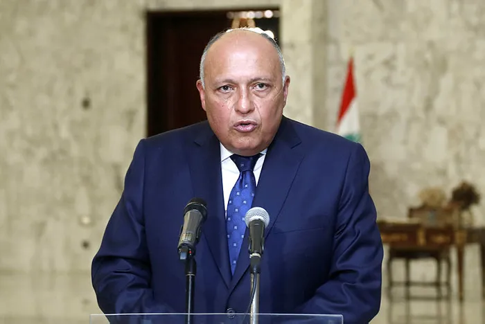 son dakika misir disisleri bakani