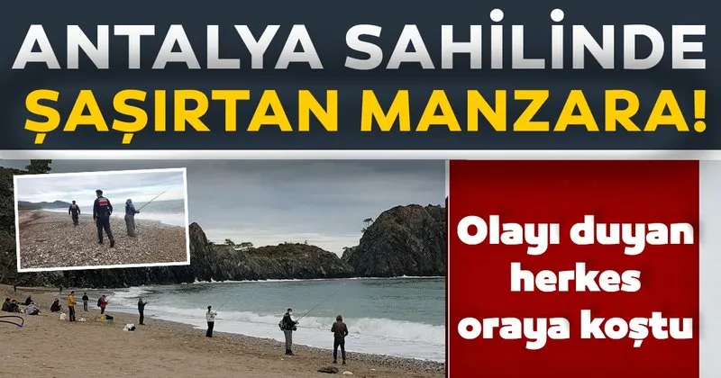 antalya da sasirtan manzara olayi