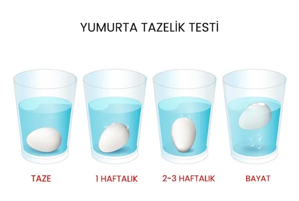 yumurtaniz-taze-mi-su-testiyle-bir-dakikada-ogrenin-1751784841391.jpg