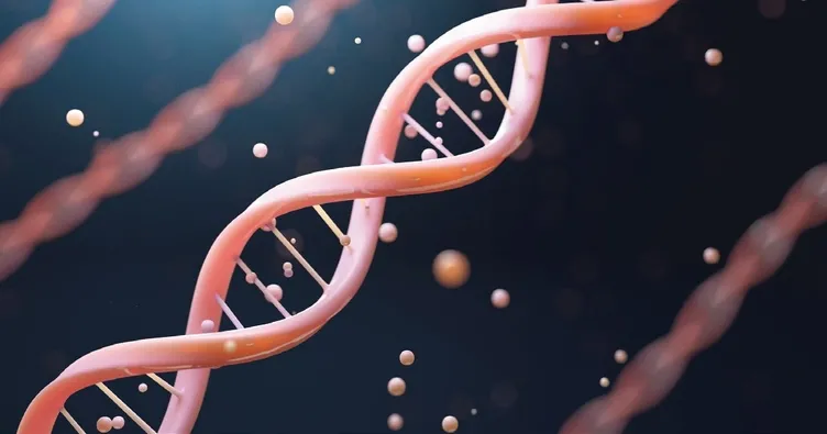 Uzun yaşamın sırrı genlerde saklı