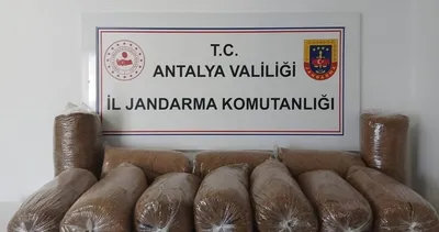 Alanya’da kaçak tütün operasyonu