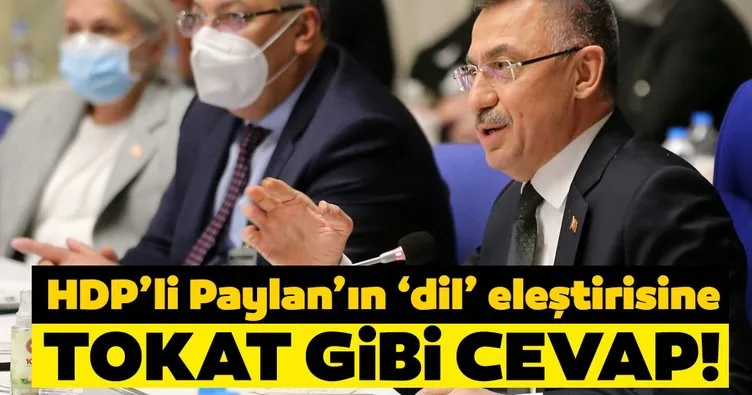Cumhurbaşkanı Yardımcısı Fuat Oktay’dan HDP’li Paylan’a tokat gibi cevap!