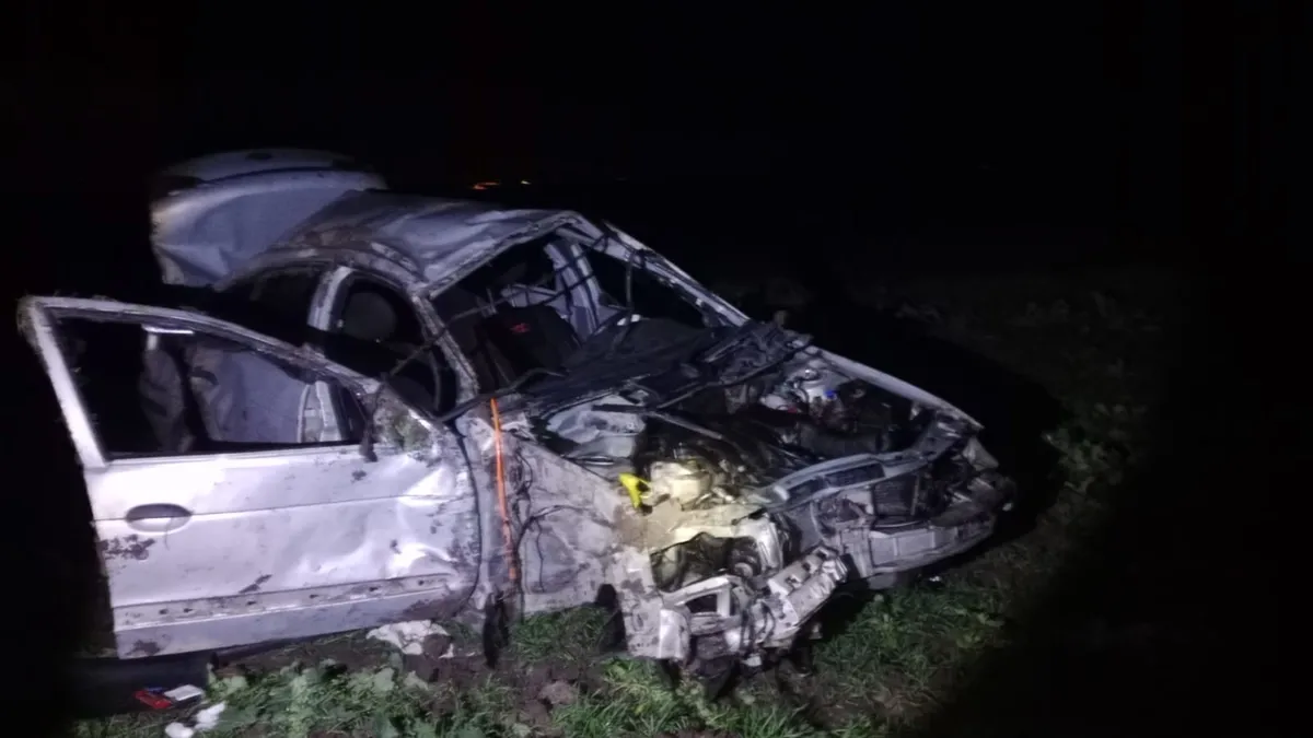 Otomobil domuza çarptı: 1 kişi öldü, 1 kişi yaralandı Otomobil domuza çarptı: 1 kişi öldü, 1 kişi yaralandı